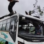 huge-tree-falls-moving-bus-major