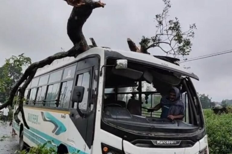 चलती बस पर गिरा विशाल पेड़, बड़ा हादसा टला