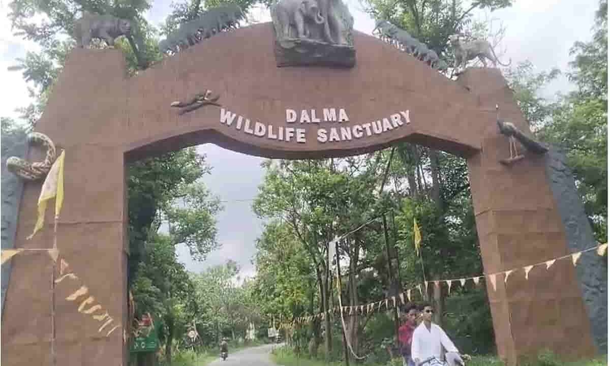 Hearing on illegal construction in Dalma Sanctuary to be held at the CEC on September 9.