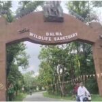 Hearing on illegal construction in Dalma Sanctuary to be held at the CEC on September 9.