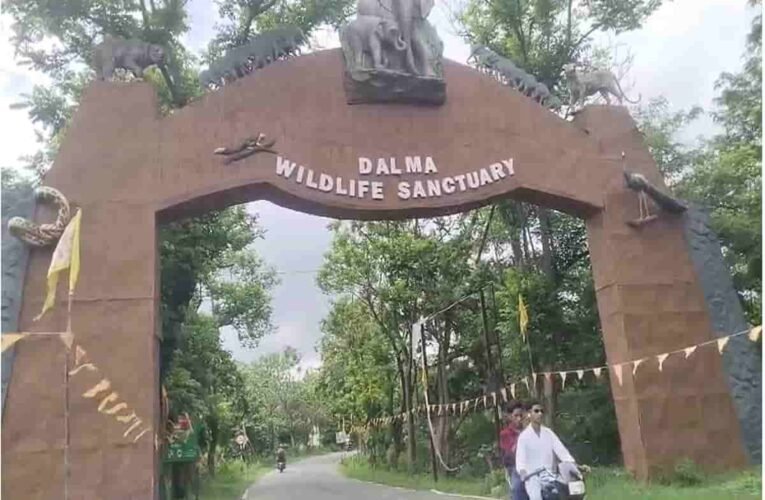 Hearing on illegal construction in Dalma Sanctuary to be held at the CEC on September 9.