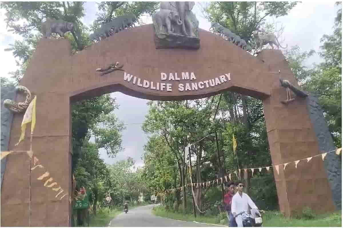 Hearing on illegal construction in Dalma Sanctuary to be held at the CEC on September 9.