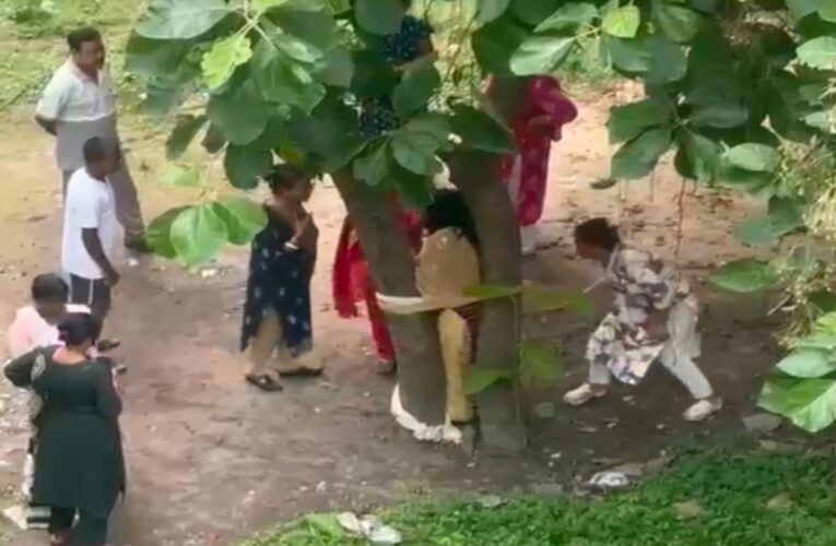 धनबाद में पैसे के विवाद में महिला को पेड़ से बांधकर पीटा, वीडियो वायरल; एक आरोपी गिरफ्तार