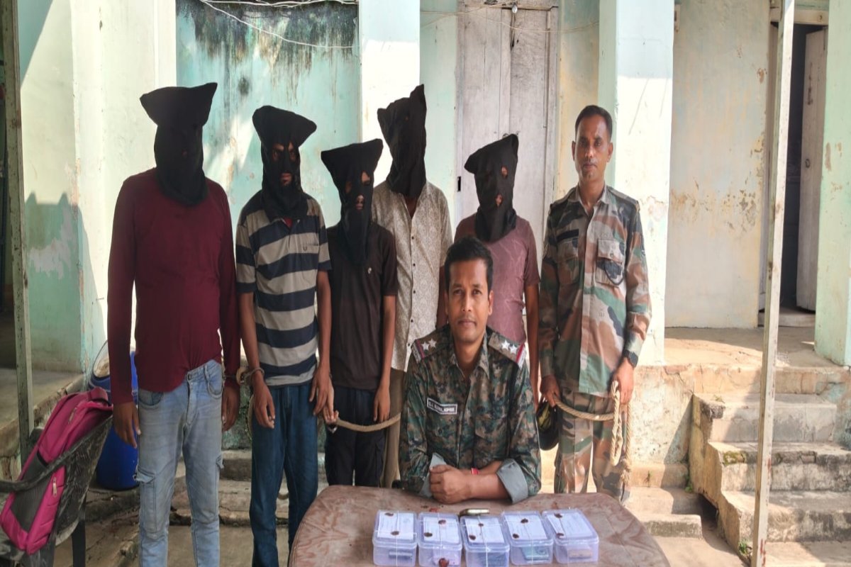 fake-customer-care-officers-used-cheat