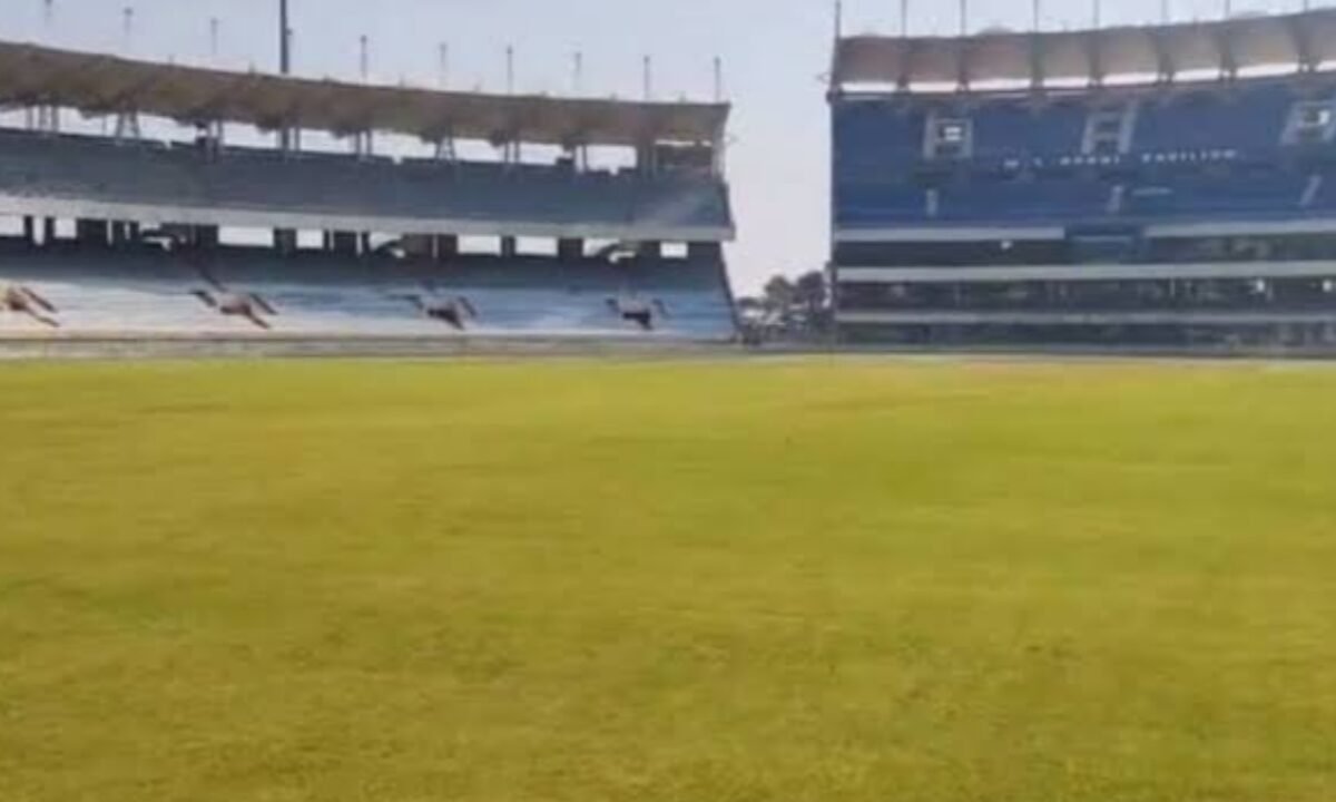 tickets-india-westindies-t20-match-be