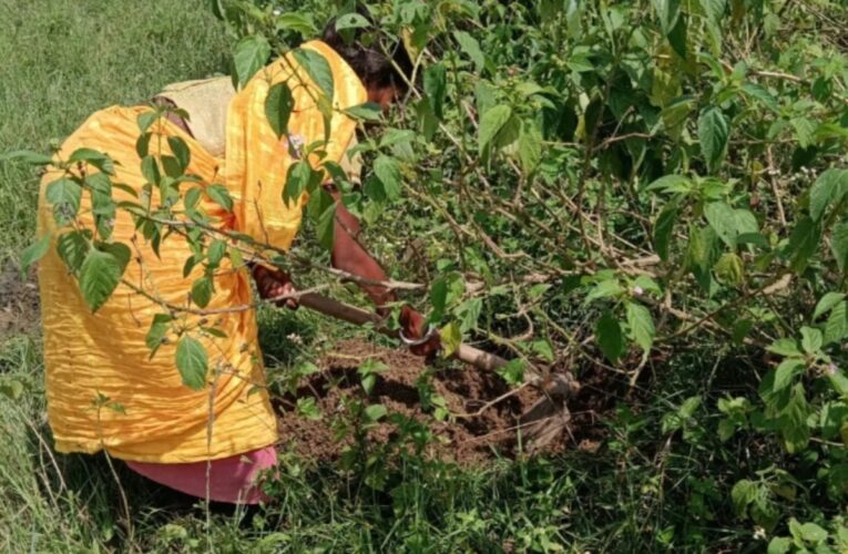seven-day-old-infant-strangled-death
