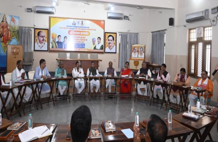 brainstorming-organization-upcoming-programmes-bjp-jharkhand