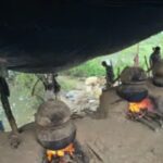 दुर्गा पूजा से पहले शराब माफिया पर शिकंजा, 200 लीटर चुलाई शराब और 12 हजार किलो जावा महुआ बरामद screws-liquor-mafia-durga-puja-200