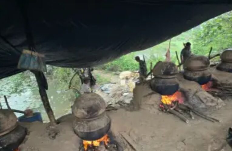 दुर्गा पूजा से पहले शराब माफिया पर शिकंजा, 200 लीटर चुलाई शराब और 12 हजार किलो जावा महुआ बरामद