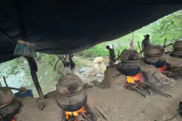 दुर्गा पूजा से पहले शराब माफिया पर शिकंजा, 200 लीटर चुलाई शराब और 12 हजार किलो जावा महुआ बरामद