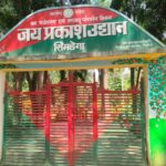 loknayak-remembered-death-anniversary-confined-jaypees