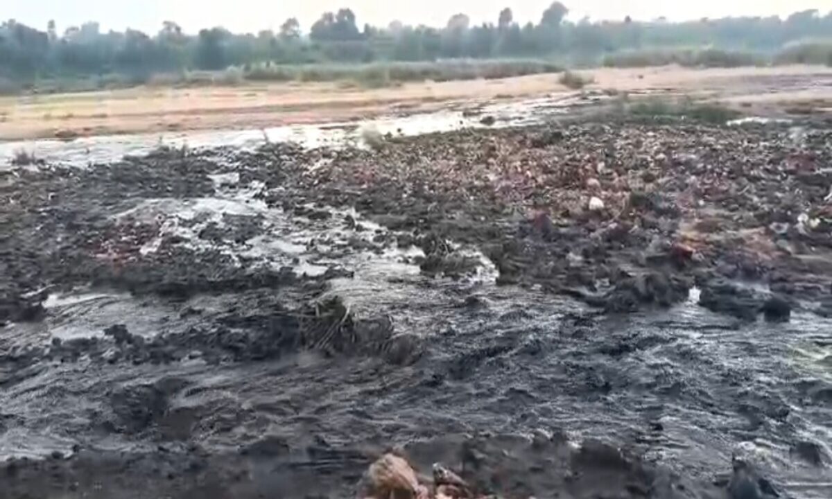 kathara-washerys-slurry-pond-broken-bokaro