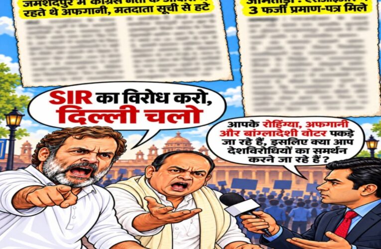 bjp-hits-out-rahul-gandhi-irfan