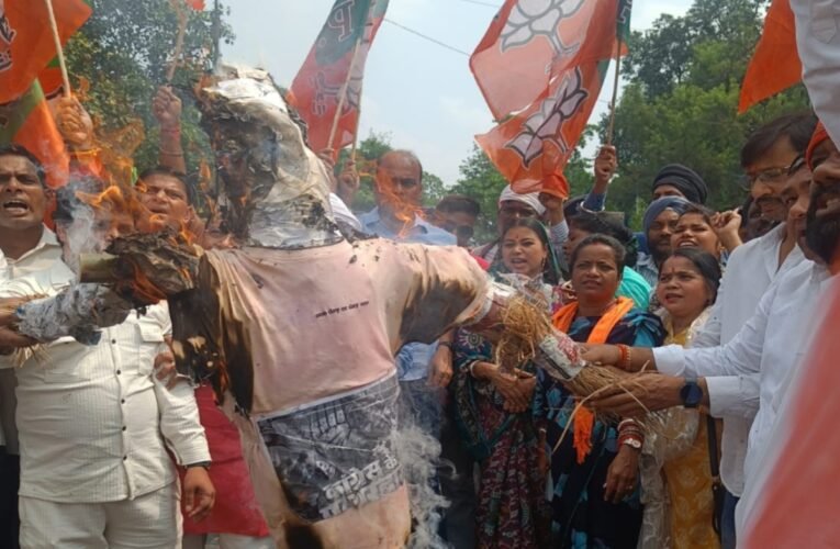 महिला मोर्चा पर कथित पथराव के विरोध में भाजपा का प्रदर्शन, राहुल गांधी का पुतला फूंका