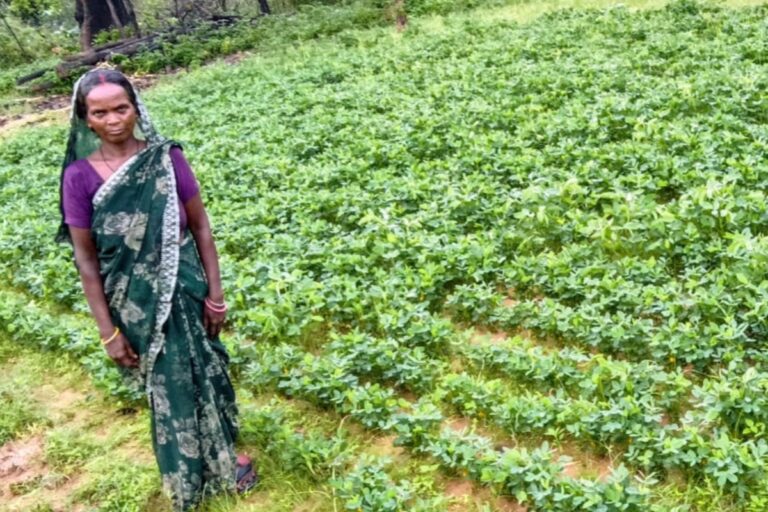 स्वयं सहायता समूह से जुड़कर बदली तकदीर, खेती-बाड़ी से सालाना 1.20 लाख की कमाई