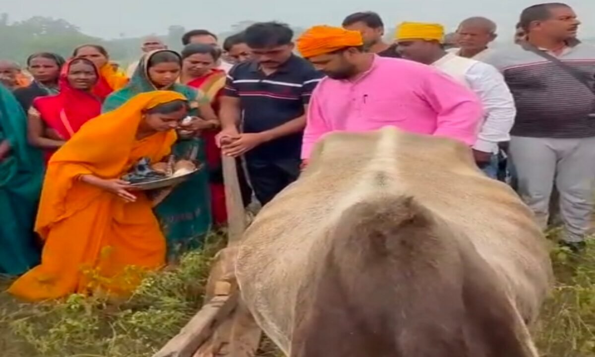garhwa-12-years-field-land-dispute
