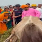 garhwa-12-years-field-land-dispute