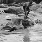 bihar-youth-dies-drowning-tenth-fall