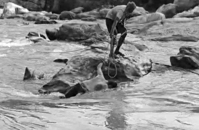 bihar-youth-dies-drowning-tenth-fall