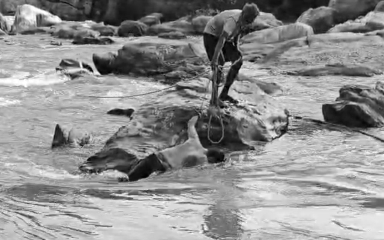 bihar-youth-dies-drowning-tenth-fall