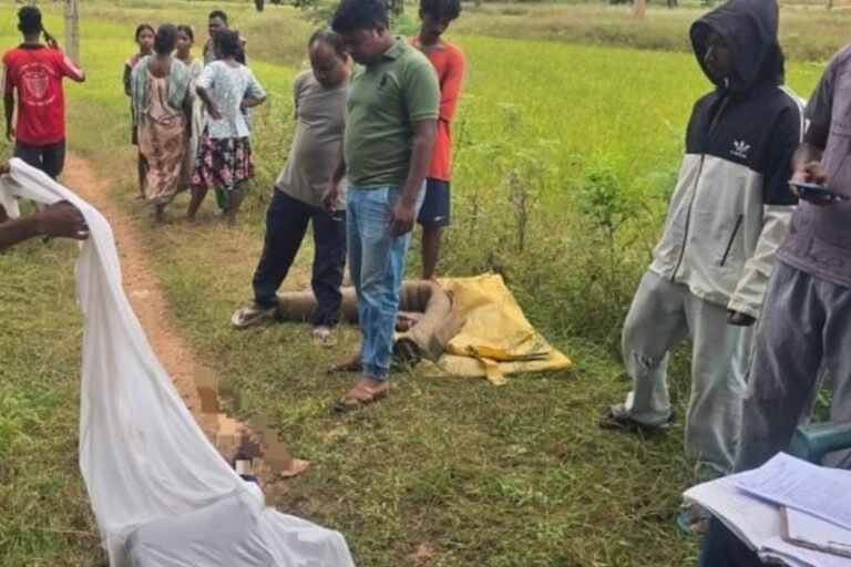 सिमडेगा के अम्बापानी में अधेड़ की पत्थर से कुचलकर हत्या, गांव में सनसनी